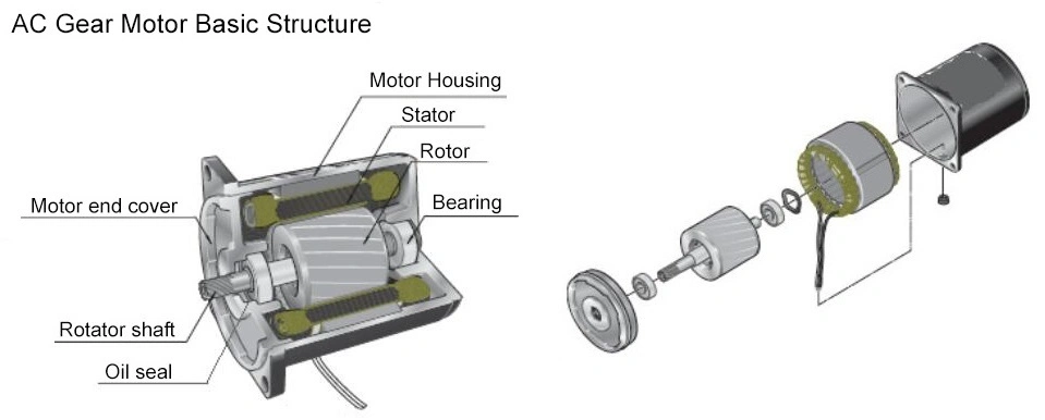 High Torque Low Rotation Speed 60mm 4W Gpg Electric Micro Geared Motor for Textile Knitting Machine 2rk4gn