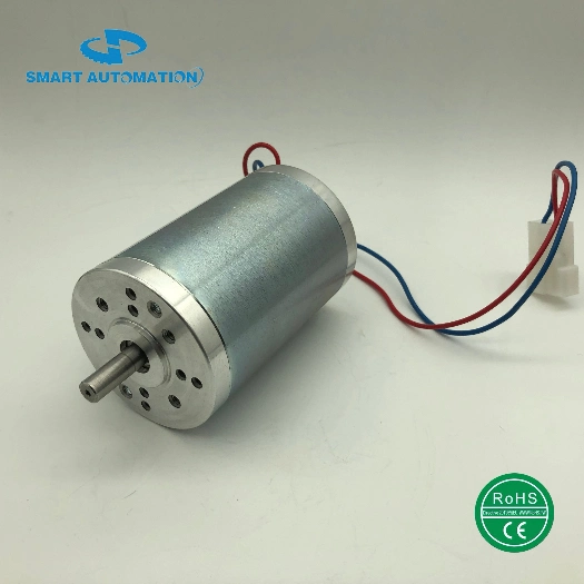 Customizable Electric Brushed Brushless DC Motor 12V 18V 24V 36V 48V 310V PMDC/BLDC Planetary/Worm Gear Motor 12 24 36 48 Volt 15W 50W 100W 200W 300W 500W 800W