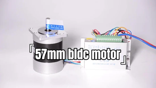 57mm 60mm 24V 4000rpm BLDC Motor High Speed Motor Brushless Electric Motor No Vibration for Electrical Tools and Robots