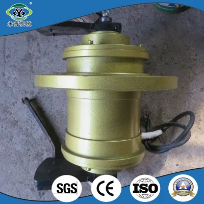 Powerful Customized Auto Parts Electric Engine Vibrating Motor