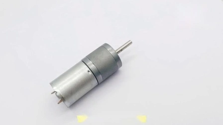 25mm 12V low rpm electric DC micro motor for Juicers