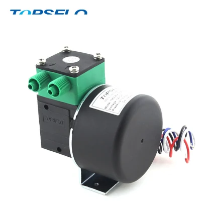 Diaphragm 12V 24V DC Brushless Silent Air Vacuum Pump for Oxyhydrogen Generator