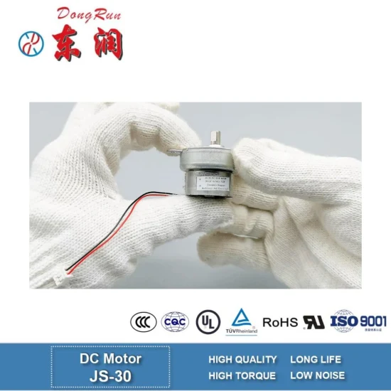 Micro-Permanent DC Motor Gear Motor 4W Js-30