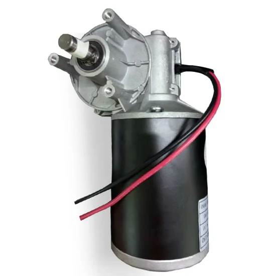 24V 150W DC Micro Worm Gear Motor High Torque Electric Motor Manufacturer Europe